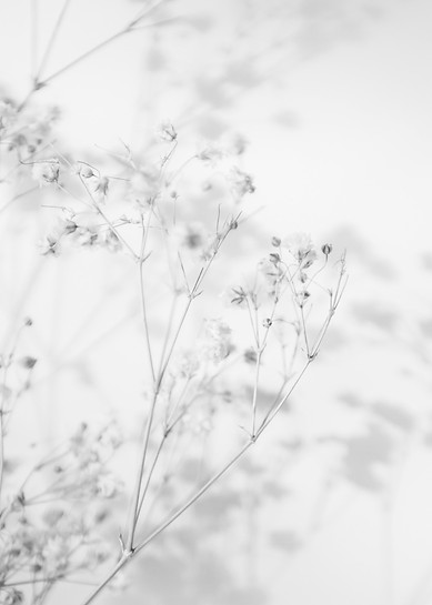 Az ügyvédi irodám nemcsak jogi tanácsokkal, hanem teljes körű megértéssel és támogatással is rendelkezik. Amikor foglalkozom a jogi kérdéseiddel, nem csupán egy ügyet kezelek, hanem téged, mint egyént, akinek személyes szükségletei és céljai vannak. Minden ügyemnek különleges jelentősége van, és minden ügyfél számomra fontos. 