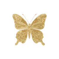 Névtelen terv(55).png