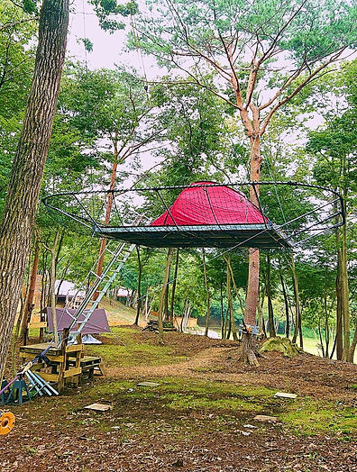 Fotor_15689440106089.jpg