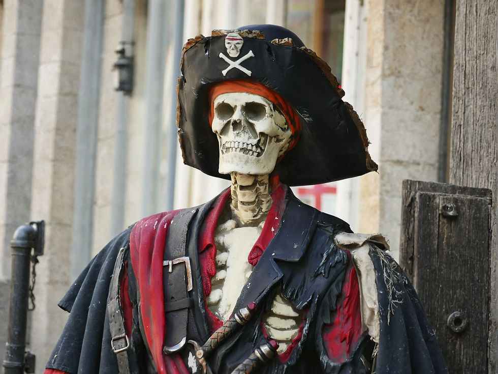 The Pirate Captain's Classic Polite Smile