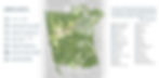 Design Collective, Inc.