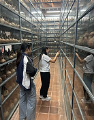 thumbnail_Screen Shot 2024-06-14 at 5.59.36 PM.png