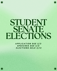 STUDENT SENATE ELECTIONS IG POST.png
