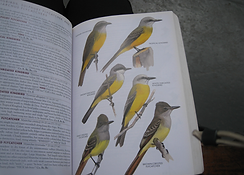 Screenshot 2025-06-02 at 6.08.28 PM.png