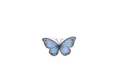 5e190dfe-b650-403d-a9cf-34fba6af310e (1).png
