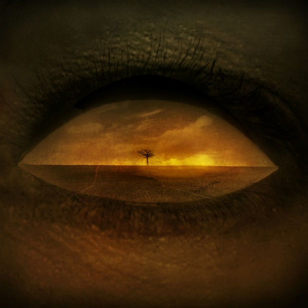 Private horizons