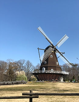 IMG-3966.jpg