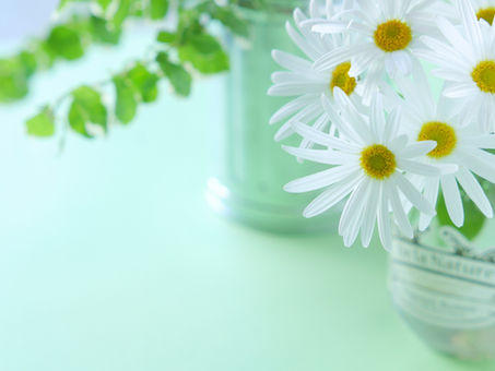 岡﨑毅会計事務所