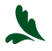 葉っぱのイラスト