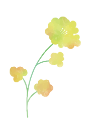 花_黄色