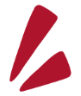 強調2