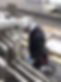 20200807写真No,1
