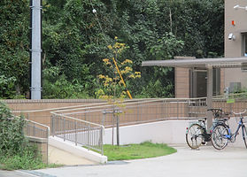 院内車いすに完全対応