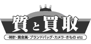 株式会社阪南下出質舗のロゴ.gif