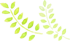 葉っぱ1.png