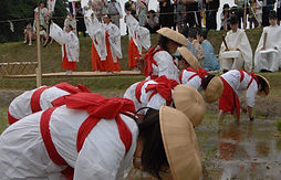 1.御田植祭.jpg