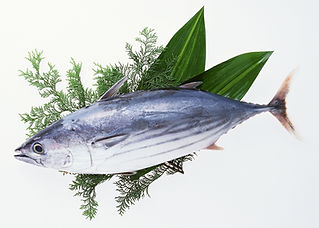 かつお