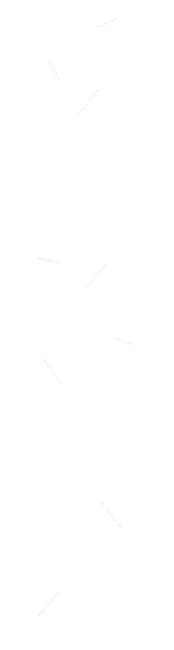 おたる花嫁センターのセットプラン