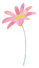 花_ピンク