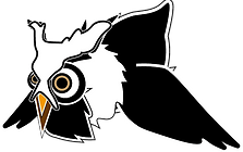 フクロウ