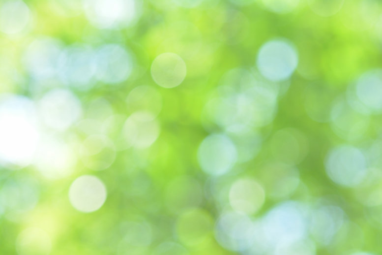 AdobeStock_210950600.jpeg