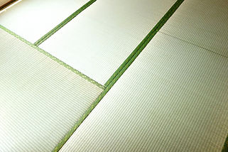 AdobeStock_154186131_edited.jpg
