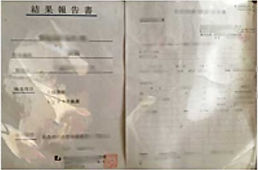 検査結果報告書