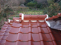 シックイ施工後