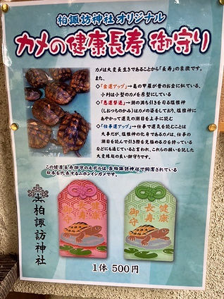 カメの健康長寿御守り