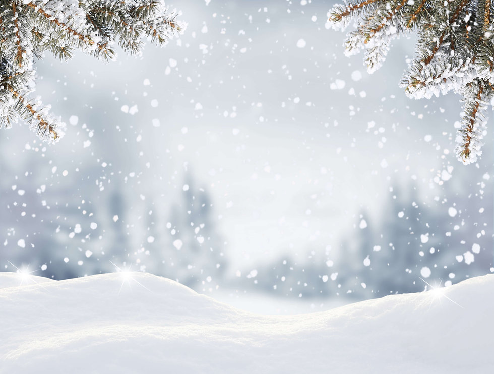 雪景色