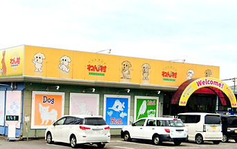 わんわん村上田店 ペットホテル