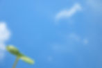 3404934_l.jpg
