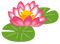 flower_hasu.png