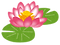flower_hasu.png