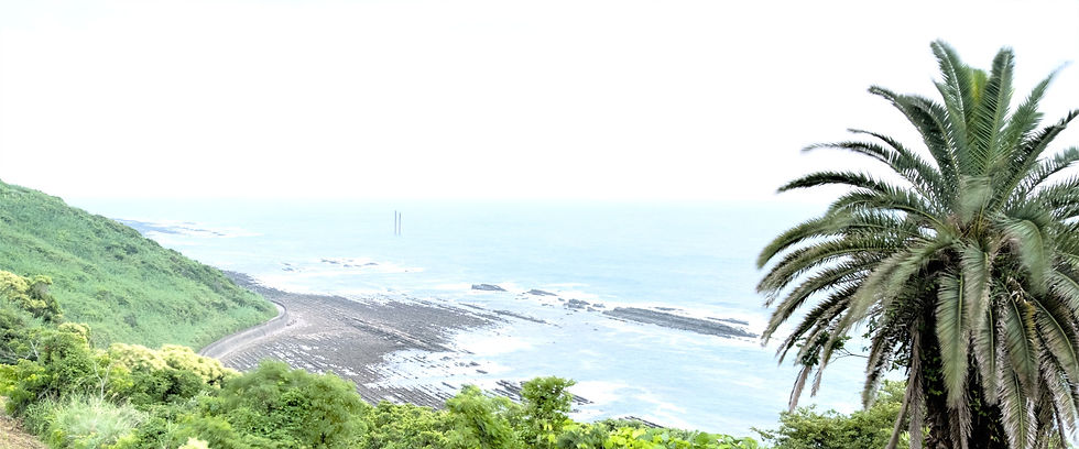 海岸