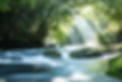 AdobeStock_220384134.jpeg