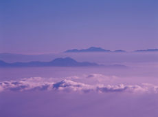雲海