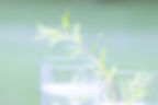 AdobeStock_389697851.jpeg