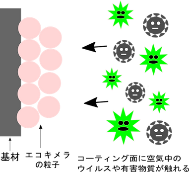 抗菌・抗ウイルスの仕組み①