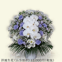 1.5万ムラサキ