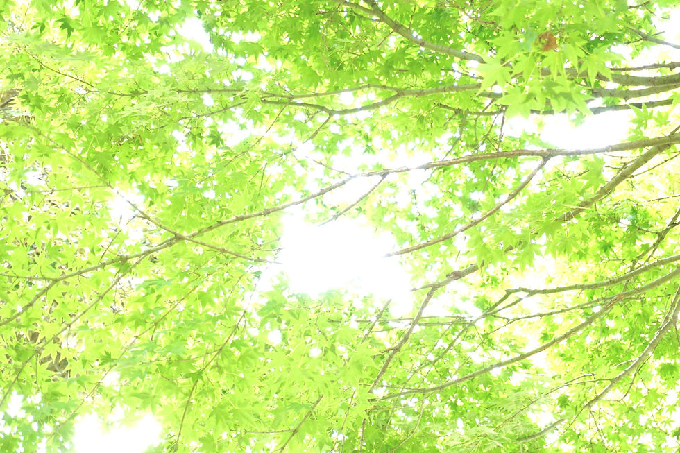 サービスについて説明の背景