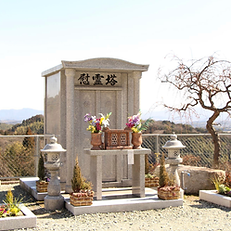 IMG_5952.PNG