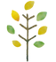 木