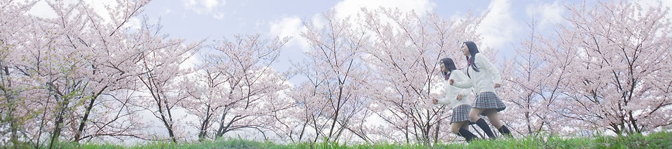 桜の中の女子学生