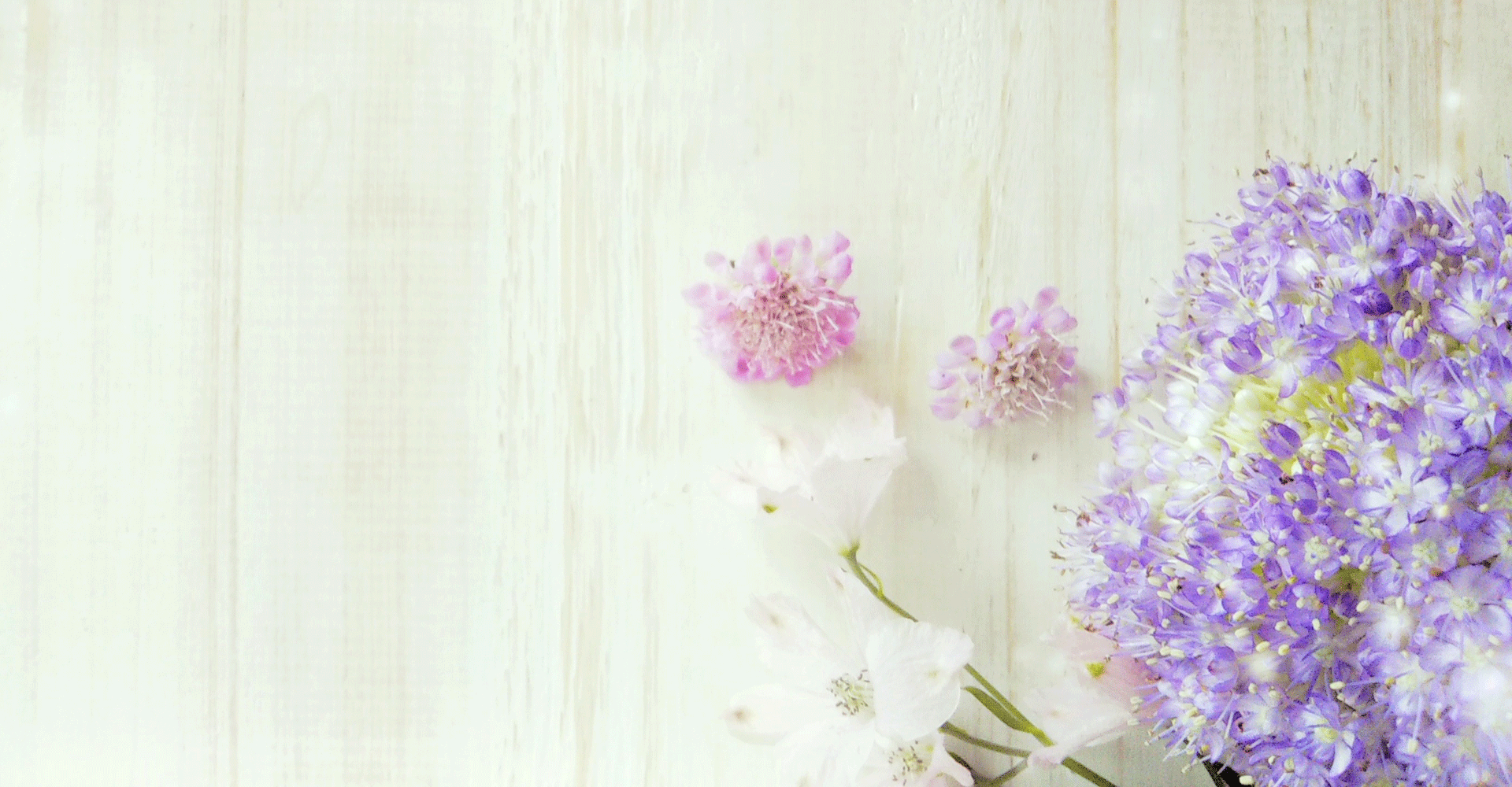 紫の花