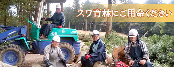 長生郡 スワ育林 樹木伐採・高枝切り・草刈・刈込み・枝切・剪定 長生郡 スワ育林 樹木伐採・高枝切り・草刈・刈込み・枝切・剪定
