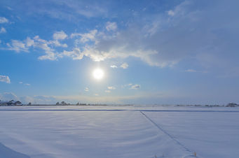 岩見沢市の雪原