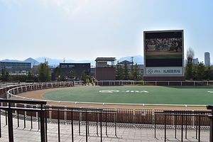 競馬場のパドック