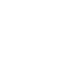 光