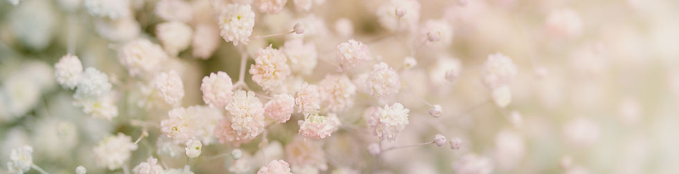 AdobeStock_385538438.jpeg